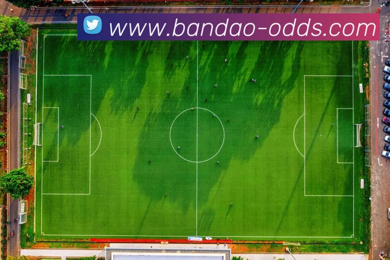 半岛体育官网平台生态图